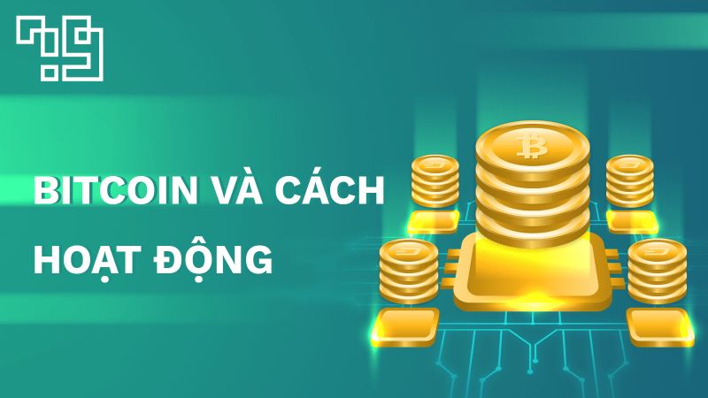 Cách thức hoạt động của thị trường Bitcoin.