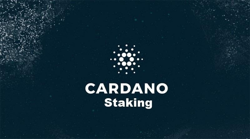 staking cardano