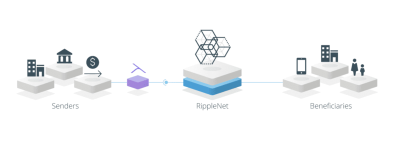 RippleNet là gì và hoạt động như thế nào