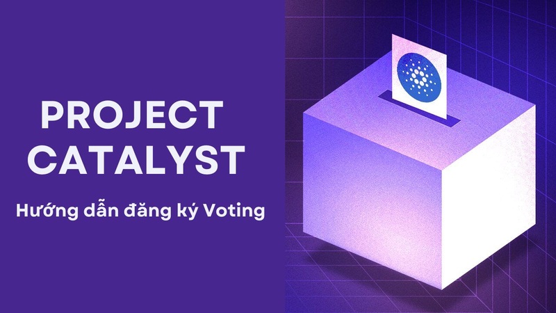 Hướng dẫn voting Project Catalyst