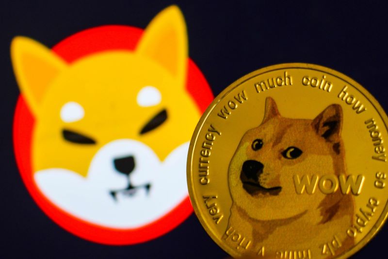 Shiba coin là gì