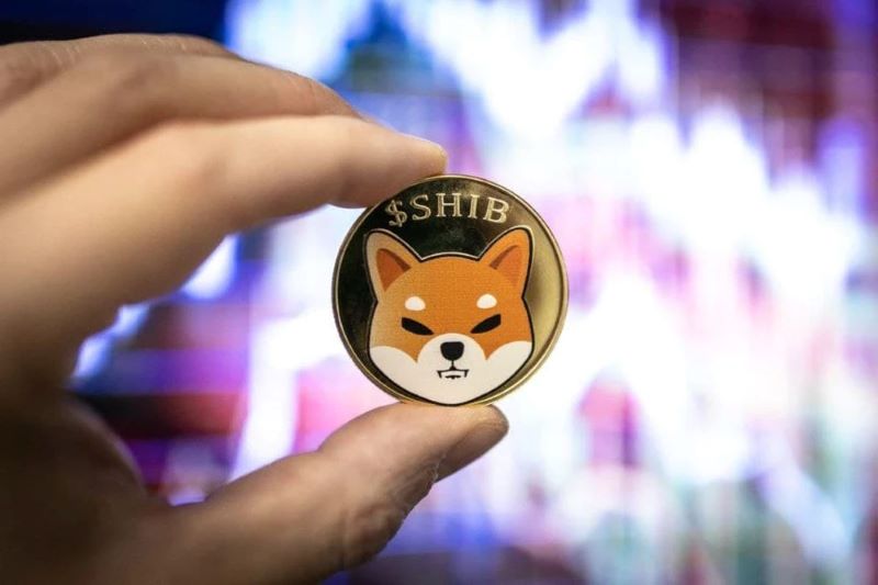 Shiba coin là gì