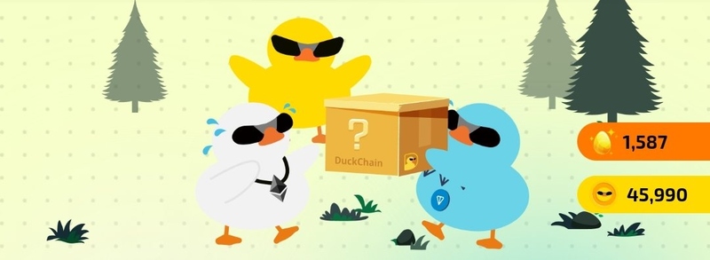 Giới thiệu về DuckChain