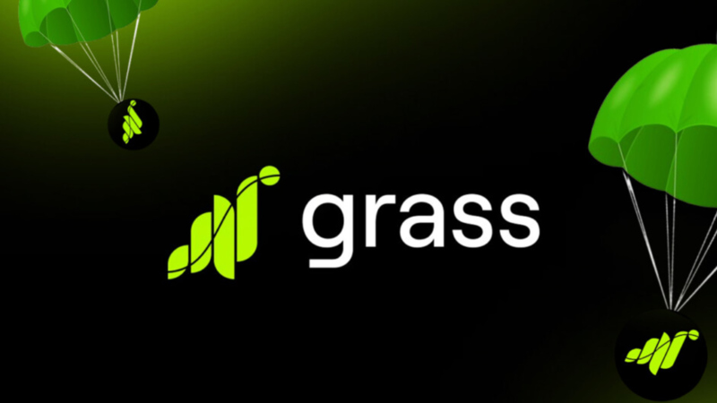 Grass