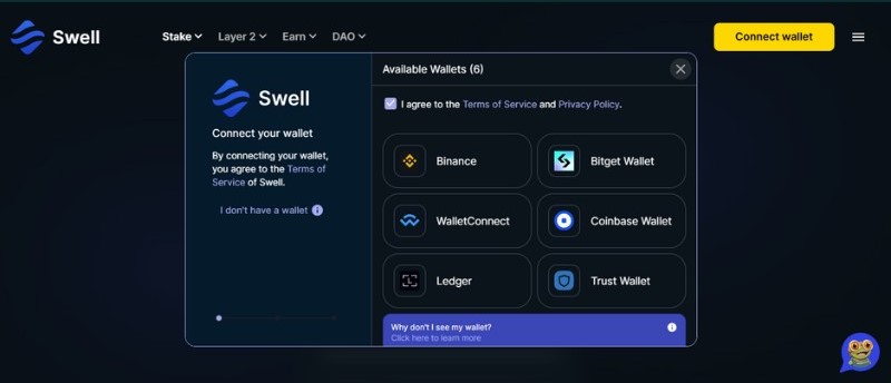 Hướng dẫn tham gia Swell Airdrop