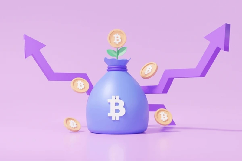 Tiềm năng đầu tư của Purple Bitcoin