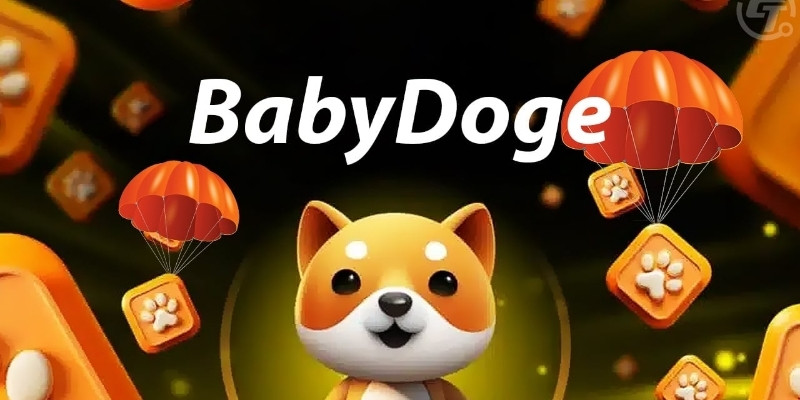 BabyDoge là gì?