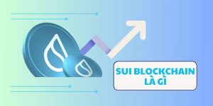 Sui Blockchain là gì